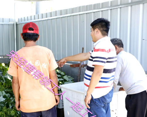 夏日來臨，當你吹空調喊熱的時候，讓我?guī)阋黄鹱哌M東楓園林體驗一下東楓人高溫下工作不一樣的夏日風采